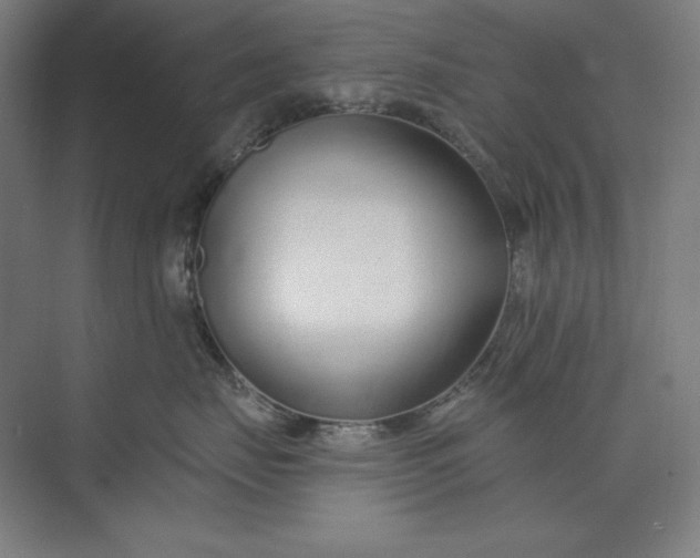 X0000073990671200609060959