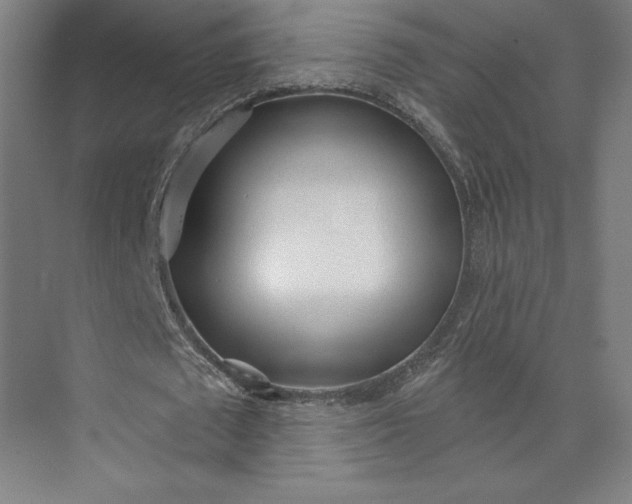 X0000073990673200609060958