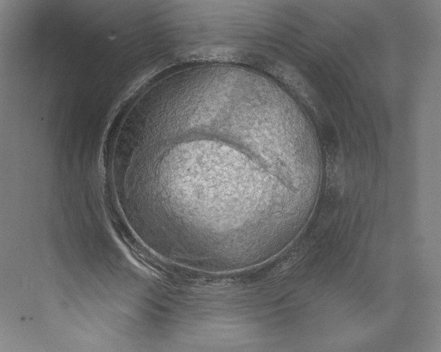 X0000073990674200609060958