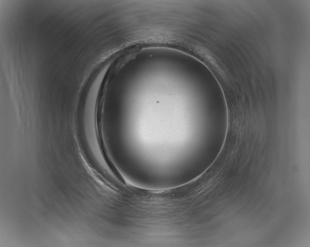 X0000073990677200609060958