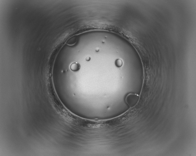 X0000073990679200609060958