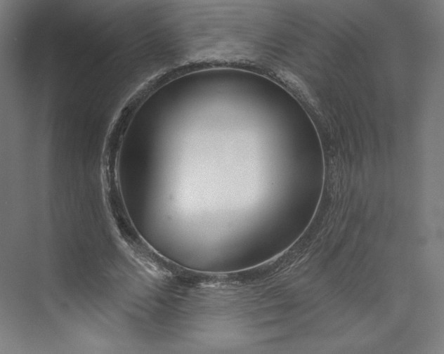 X0000073990680200609060958