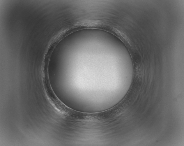 X0000073990682200609060958