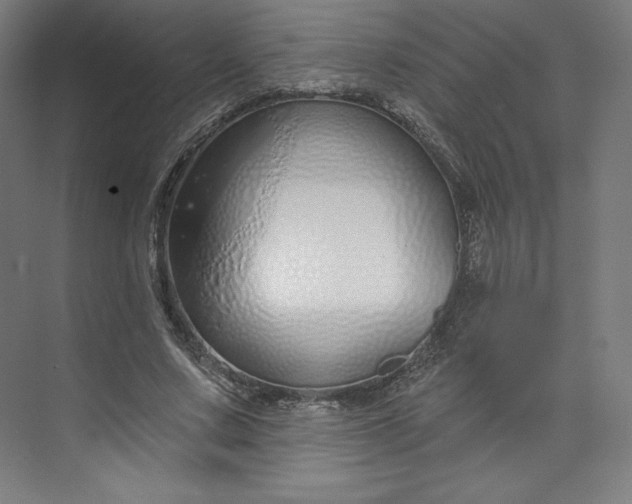 X0000073990683200609060958