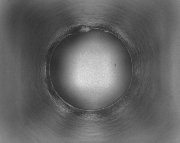 X0000073990685200609060958