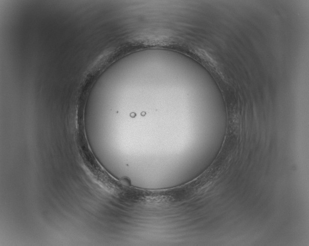 X0000073990686200609060958