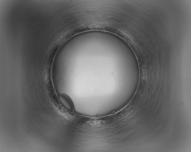 X0000073990687200609060958