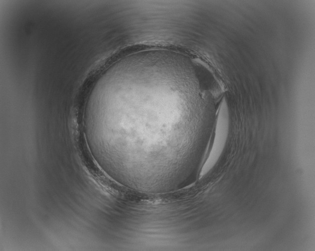 X0000073990688200609060958