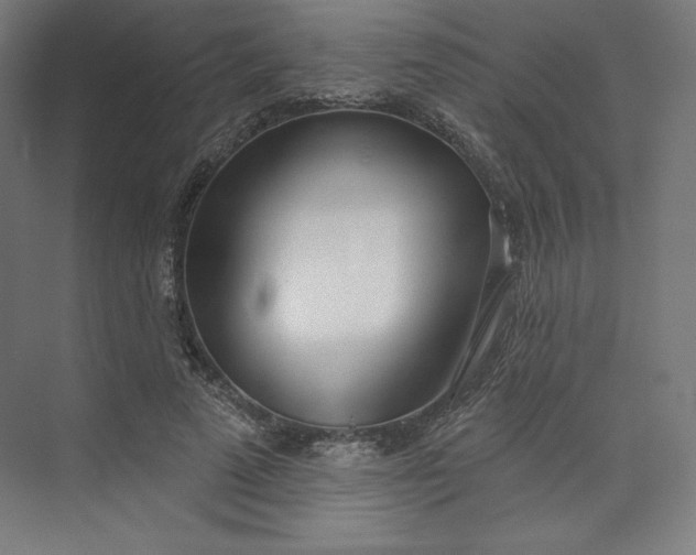 X0000073990689200609060958