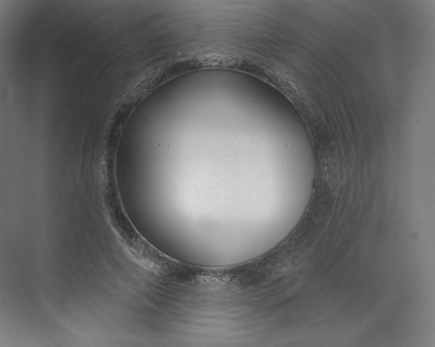 X0000073990690200609060958