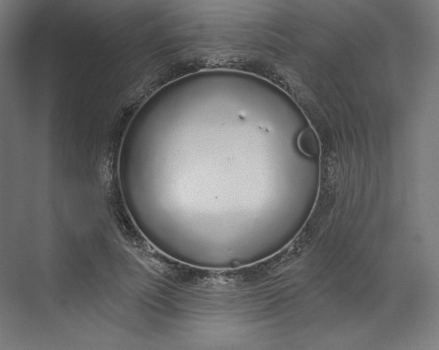 X0000073990691200609060958