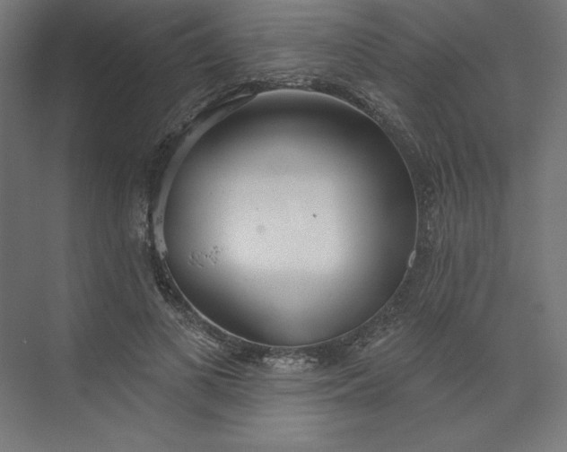 X0000073990693200609060958