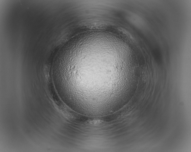 X0000073990695200609060958