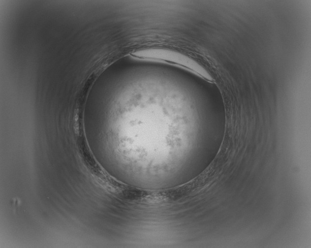 X0000073990696200609060958