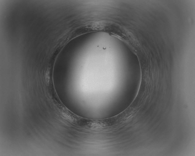 X0000073990697200609060958