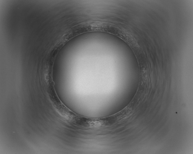 X0000073990698200609060958