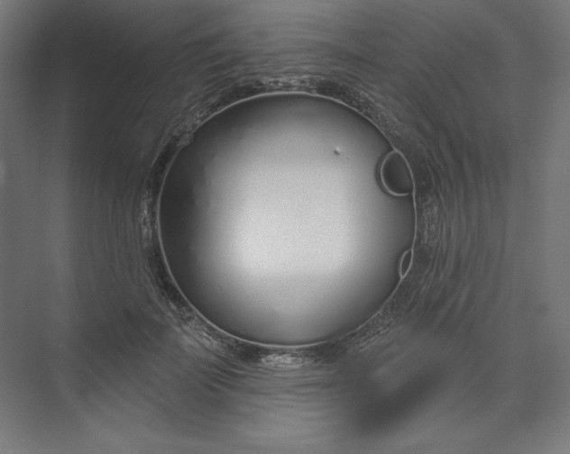 X0000073990699200609060958