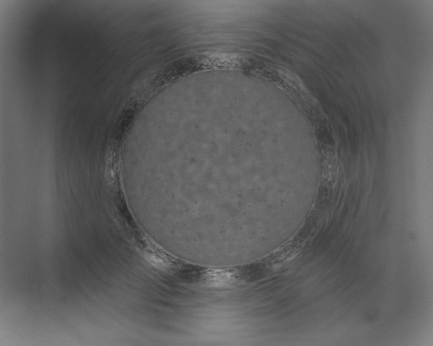 X0000073990701200609060958