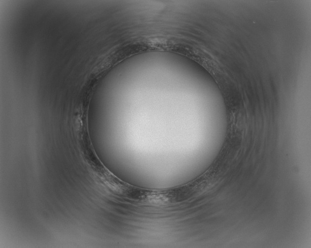 X0000073990702200609060958