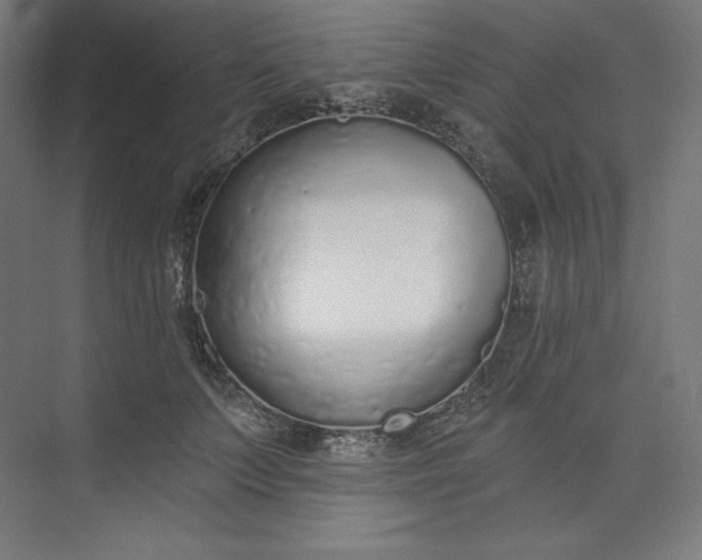 X0000073990703200609060958