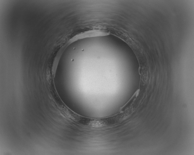 X0000073990704200609060958