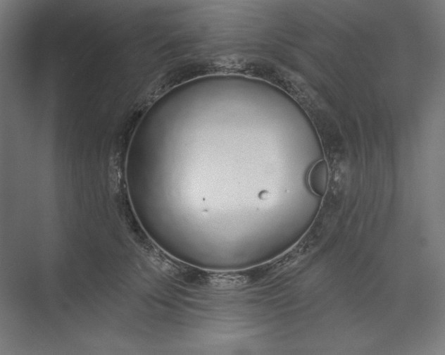 X0000073990707200609060958