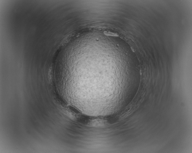 X0000073990708200609060958