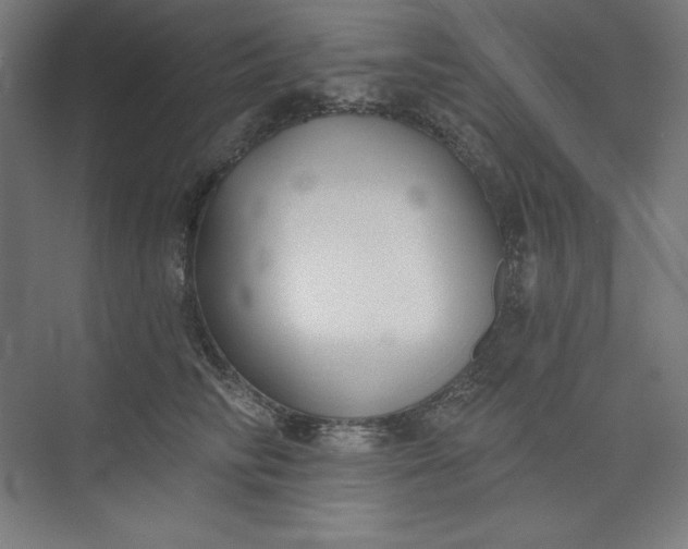 X0000073990710200609060958