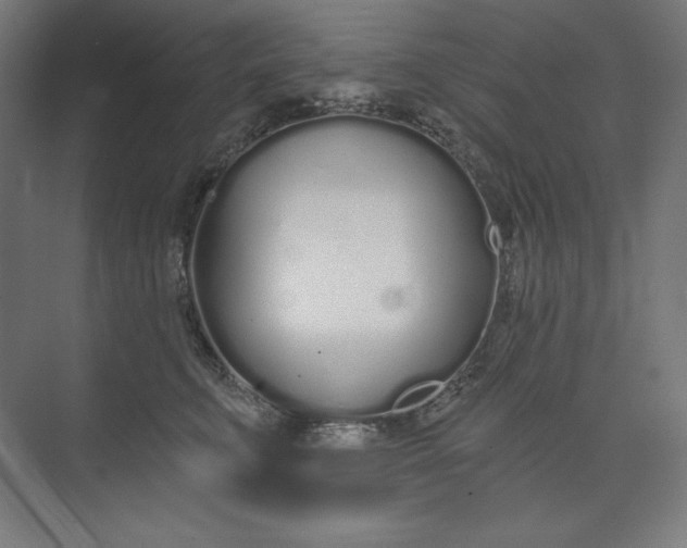 X0000073990711200609060958