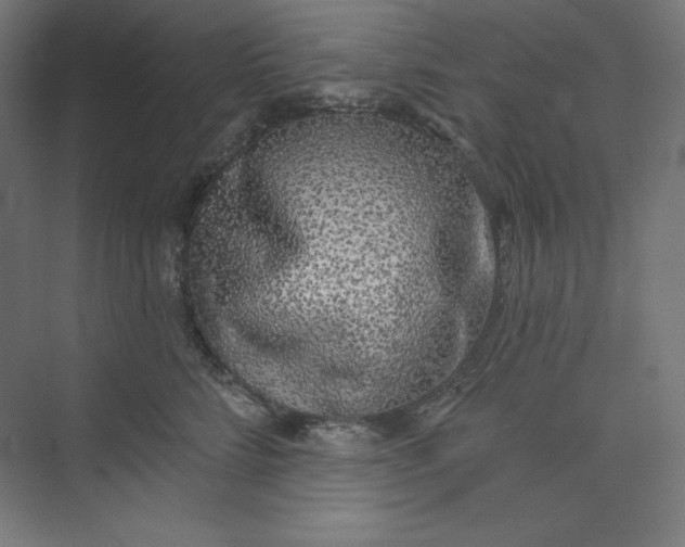 X0000073990712200609060958