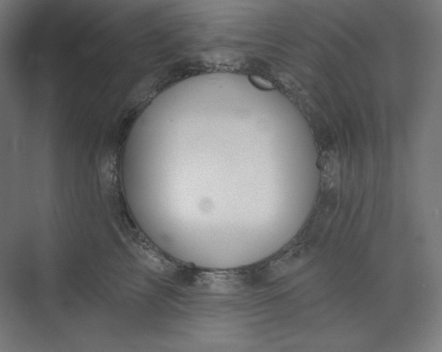 X0000073990713200609060958