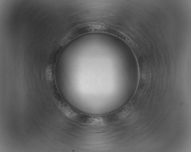 X0000073990715200609060958