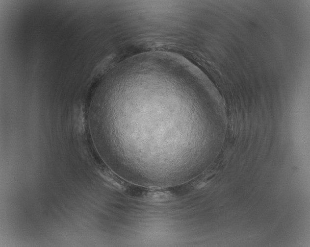 X0000073990716200609060958