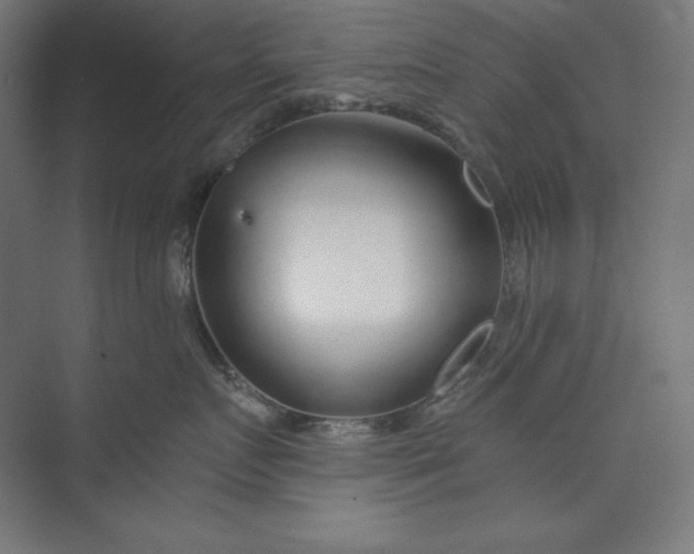 X0000073990719200609060957