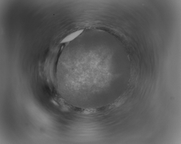 X0000073990720200609060957