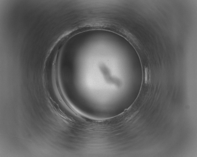 X0000073990723200609060957