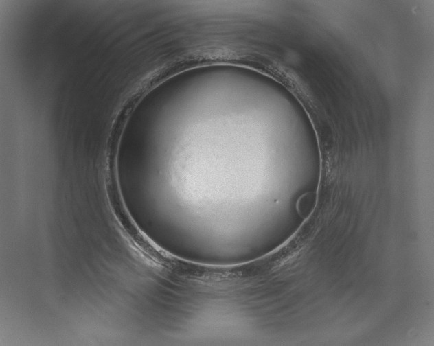 X0000073990725200609060957