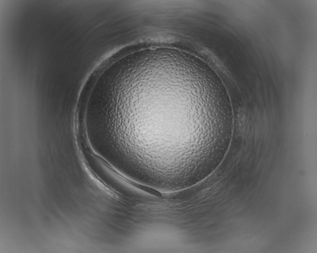 X0000073990726200609060957