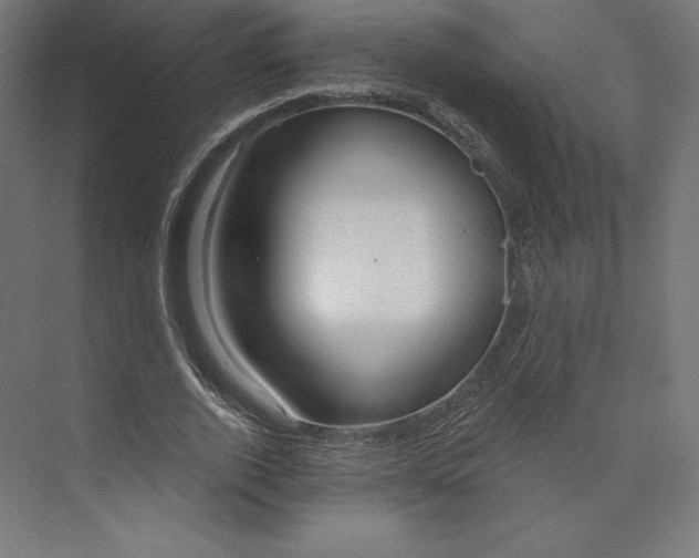 X0000073990728200609060957