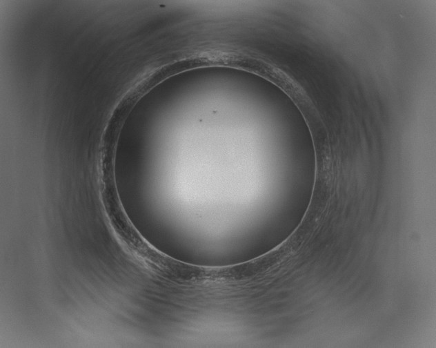 X0000073990730200609060957