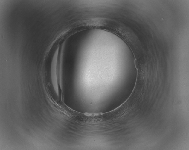 X0000073990731200609060957