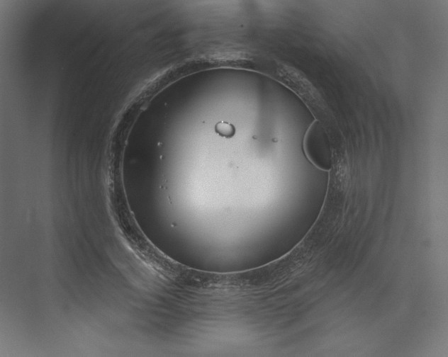 X0000073990732200609060957