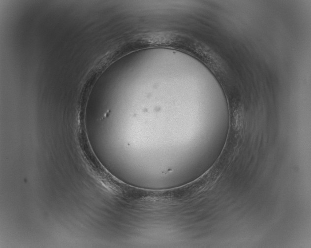 X0000073990733200609060957