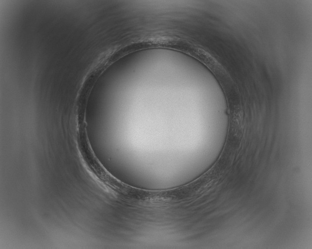 X0000073990734200609060957