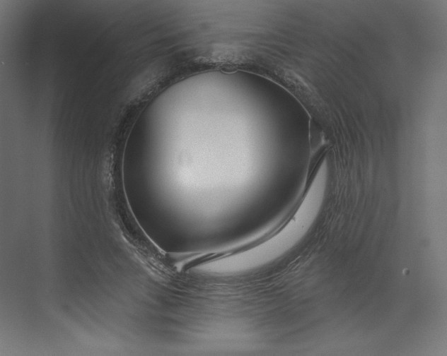 X0000073990735200609060957