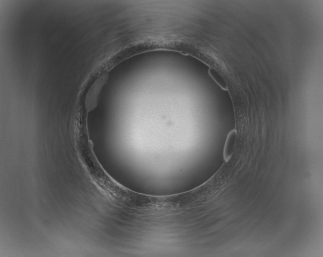 X0000073990736200609060957