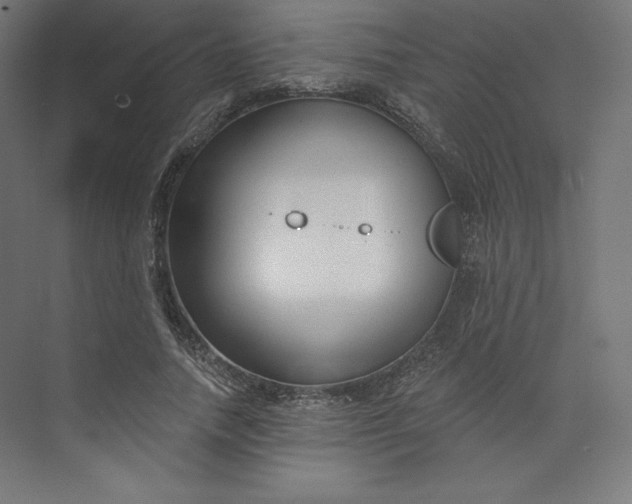 X0000073990738200609060957