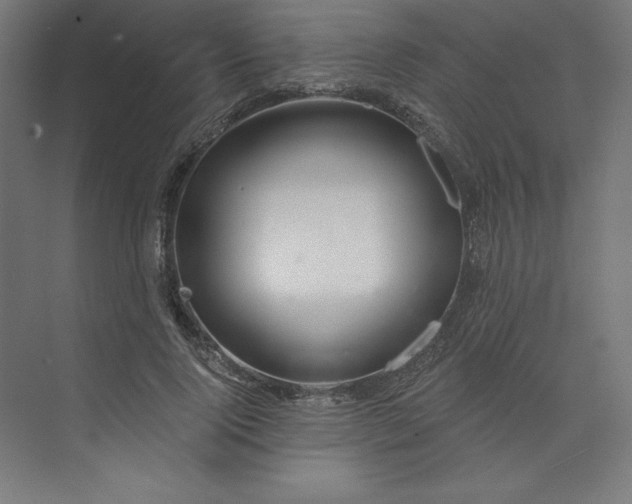 X0000073990740200609060957