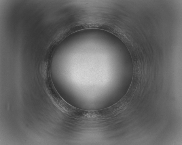 X0000073990742200609060957