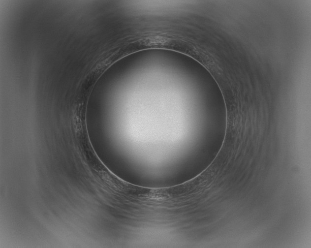 X0000073990743200609060957